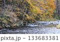 Hokkaido in late autumn - Autumn leaves flowing - Beautiful autumn scenery 133683381