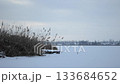 Dock is on a lake with a lot of weeds 133684652