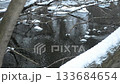 Frozen river with a few branches sticking out of the water 133684654