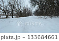 Snowy path with trees in the background 133684661