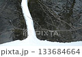 Frozen river with a tree branch sticking out of it 133684664