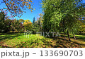 Sofia, Bulgaria - 10.19.2025. Autumn scene in Borisova Gradina Park with a statue and vintage street lamp surrounded by colorful trees and green lawn under a bright blue sky. 133690703