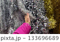 Woman touching Christmas multicoloured tinsel. Shopping for Christmas decoration. 4K 133696689