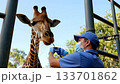 Vet examines giraffe at zoo. Ai generated 133701862