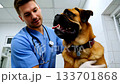 Male vet examines dog in clinic. Ai generated 133701868
