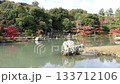 Tenryuji Temple in Autumn (Sogenchi Pond, World Heritage Site, Kyoto City) 133712106