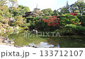 Autumn at Ninna-ji Temple (Imperial Palace Gardens, Nationally Designated Place of Scenic Beauty, Kyoto City) 133712107