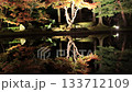 Autumn Japanese Garden (Illumination, Shozan Resort, Kyoto City) 133712109