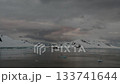 Stunning sunset over icy waters with floating icebergs in Antarctioca 133741644
