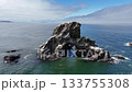 Sea Lion Rock Indian Beach Pacific Ocean 133755308