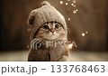 Cat in cozy sweater and hat with sparkling magic wand. Festive winter animation 133768463