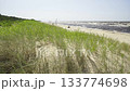 Walking along the Baltic dunes in summer. High dunes with green trees, grass and reliefs against the sea. Baltic Sea. National Park. Latvia. High quality shooting in 4K format. 133774698
