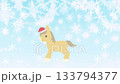 聖誕馬動畫 133794377
