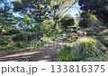 Harbor View Park, Yamatecho, Yokohama, Kanagawa, Japan, Stone pathway surrounded by lush greenery in a peaceful garden setting 133816375