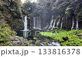 Shiraito Falls at Fujinomiya, Shizuoka, Japan, Multiple waterfalls flowing into a clear pool surrounded by lush forest in nature 133816378