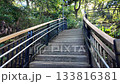 Harbor View Park, Yamatecho, Yokohama, Kanagawa, Japan, Outdoor metal staircase leading through green forest in daylight 133816381