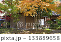 Kumamoto's beautiful autumn foliage spots 133889658