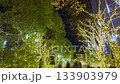 冬夜裡，燈光照耀下的樹木和塔樓盡收眼底。 133903979