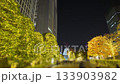 冬夜裡，燈光照耀下的樹木和塔樓盡收眼底。 133903982