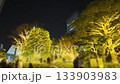 冬夜裡，燈光照耀下的樹木和塔樓盡收眼底。 133903983