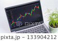 筆記型電腦螢幕上顯示股票圖表 133904212