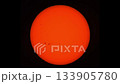 今日の太陽20251204黒点群 133905780