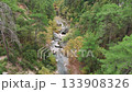 Aerial view of a pristine river flowing through a deep, rocky canyon. Lush green forest with pine trees covers the steep slopes of the gorge 133908326