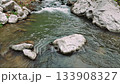 Clear water of a wild mountain river flowing downstream over a rocky bed. Fast current creating white foam in a serene forest setting 133908327