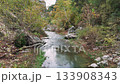 Serene mountain river peacefully flowing through a rocky gorge. Lush green and yellow autumnal foliage lines the banks of the clear stream 133908343