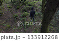 Clip focuses on exploration and nature travel, showing the rich, deep green of the forest environment. 133912268