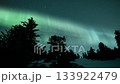 aurora green over snow covered pine tree silhouette 133922479