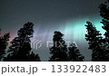 aurora colorful over pine tree silhouettes 133922483