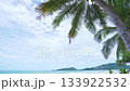 Summer sea in sunny day beautiful Tropical seashore scenic off phuket beach phuket thailand with wave crashing on sandy shore Amazing travel and tour background Copy space 133922532