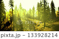 Golden sunlight streams through tall pine trees, illuminating a serene landscape beside a railway. The track curves gently through a lush forest filled with autumn hues. 133928214