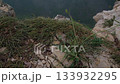 mountain cliff edge tilting down to river valley view. closeup. 133932295