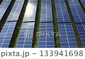 Aerial view of solar panels of a power plant. Energy of sun 133941698