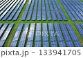 Aerial view of solar panels of a power plant. Energy of sun 133941705