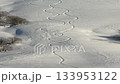 Traces of two snowboards on a pure white mountain slope 133953122