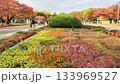 Vivid autumn leaves in Osaka Castle Park Vivid autumn leaves in Osaka Castle Park 133969527