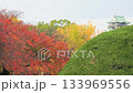 Vivid autumn leaves in Osaka Castle Park Vivid autumn leaves in Osaka Castle Park 133969556