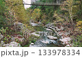 Backward aerial flight over a pristine river, revealing a narrow canyon gorge with a suspension bridge and dense green pine forest 133978334