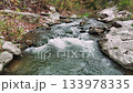 Clear water of a wild mountain river flowing over rocks and boulders. Serene natural landscape with a fresh creek in an autumn forest 133978335
