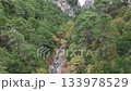Breathtaking aerial footage moving over a pristine river valley. Clear water flows through a rocky canyon surrounded by a dense, vibrant forest 133978529
