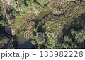 Aerial view of water pond surrounded by dense green forest 133982228