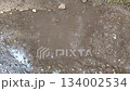Rain falling into a muddy puddle on asphalt ground close up. 134002534
