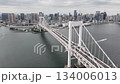 水面からレインボーブリッジ鉄塔上空へ上昇　126mから望む東京湾の絶景ドローン空撮動画 134006013