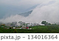 Rolling Fog Covers Village and Tea Fields at Dusk in Zhuqi, Chiayi, Taiwan. 134016364