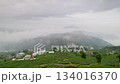 Morning Fog Drifts Over Tea Plantations and Village in Zhuqi, Chiayi, Taiwan. 134016370