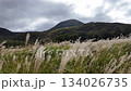 長者原タデ原湿原に広がる秋のススキ草原と山並みの高原風景 134026735