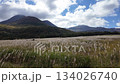 長者原タデ原湿原に広がる秋のススキ草原と山並みの高原風景 134026740